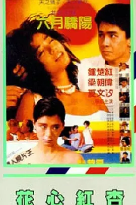 缅北打屁股