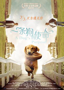 91免费国产在线观看