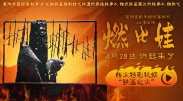麻豆论坛