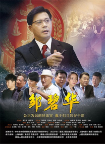 漂亮的阿姨电视剧免费播放中文版