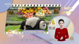 草草影院第一页yycccom